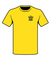 Davenant Salisbury (Yellow) House Sports T-Shirt