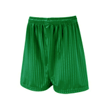 Shadow Stripe Shorts Emerald