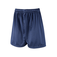 Shadow Stripe Shorts Navy
