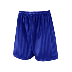 Shadow Stripe Shorts Royal