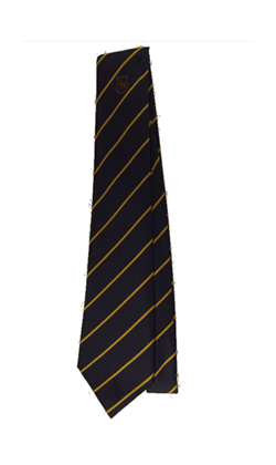 Debden Park Tie (Gold Stripe) YEAR 10 2023/2024