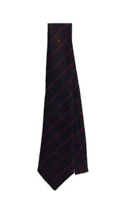 Debden Park Tie (Maroon Stripe) YEAR 11 2023/2024