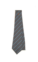 Debden Park Tie (Blue Stripe) YEAR 8 2023/2024