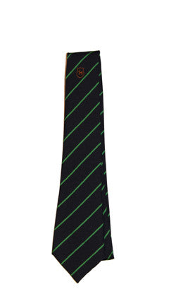 Debden Park Tie (Green Stripe) YEAR 7 2023/2024